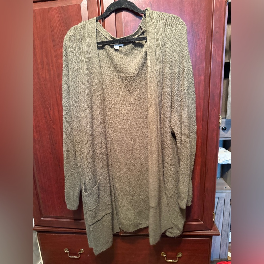 American Eagle Outfitters Green Cardigan Sweater